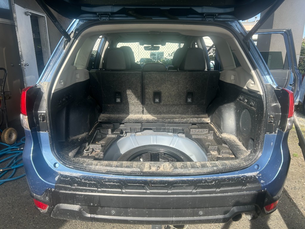 Before — Subaru Forester trunk packed with dog hair
